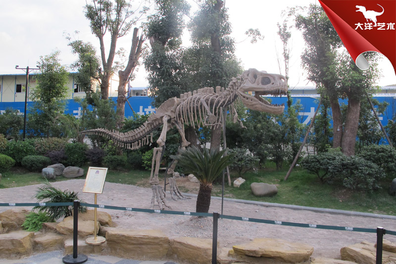 仿真恐龙化石-霸王龙化石