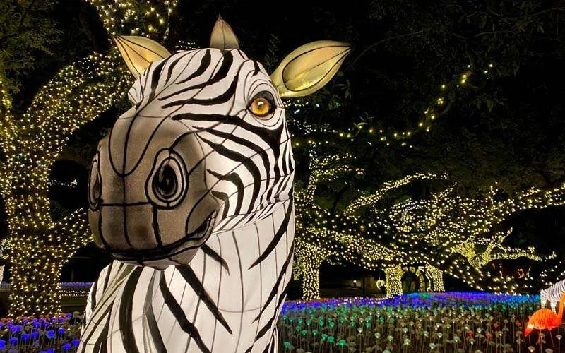 动物主题彩灯