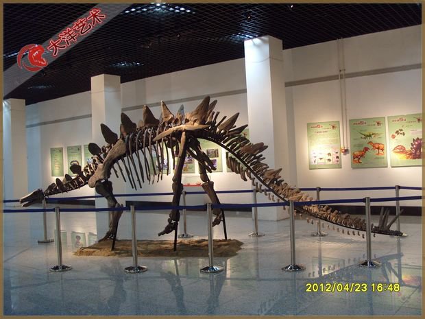 吉林博物馆恐龙互动展区项目实景 6
