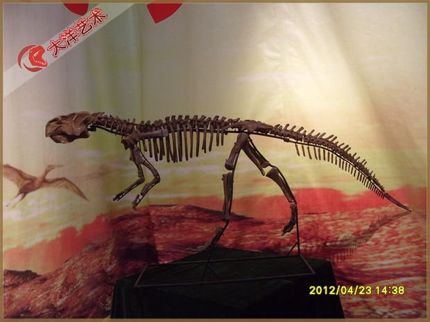 吉林博物馆恐龙互动展区项目实景 7