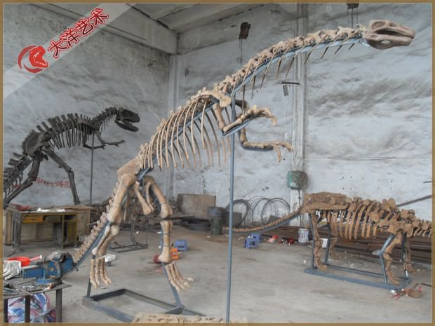 河源博物馆恐龙骨架展陈项目实景 3
