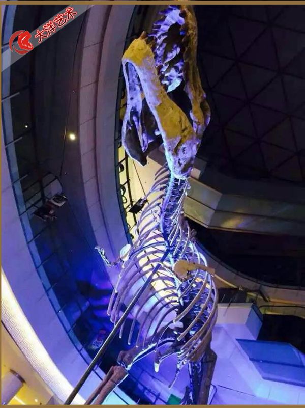 深圳 COCO Park 商业主题展陈项目实景 7
