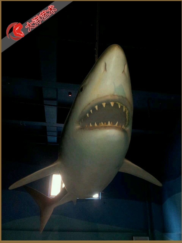 福州海洋馆主题展陈项目实景 12