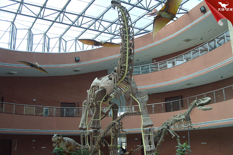秘鲁恐龙主题巡展项目实景 6
