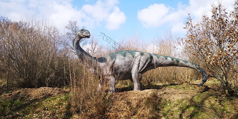 捷克 Dino Live 自然恐龙公园项目实景 10