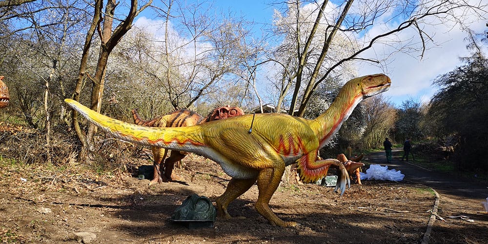 捷克 Dino Live 自然恐龙公园项目实景 18