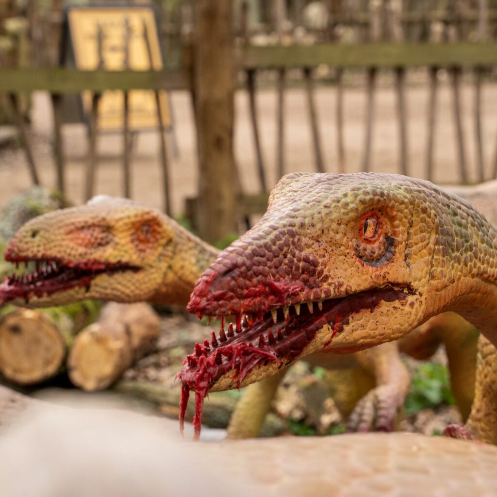 英国 Dinopark 恐龙公园项目实景 4