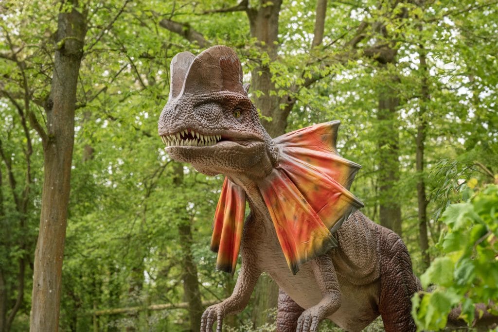 英国 Dinopark 恐龙公园项目实景 5