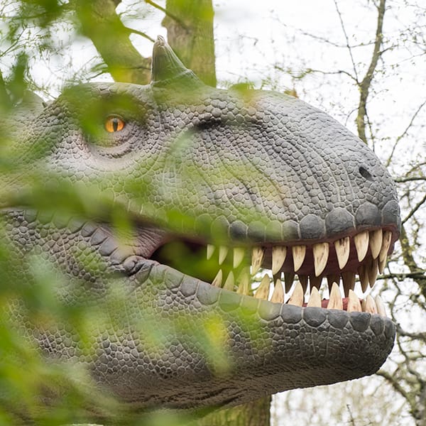 英国 Dinopark 恐龙公园项目实景 9