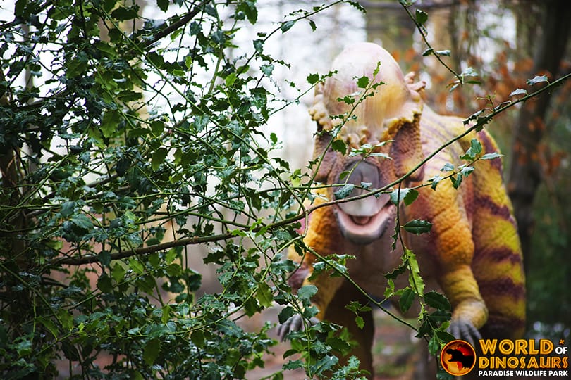 英国 Dinopark 恐龙公园项目实景 12