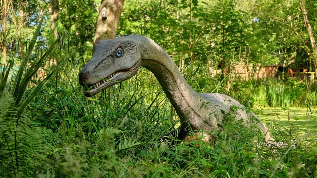 英国 Dinopark 恐龙公园项目实景 13