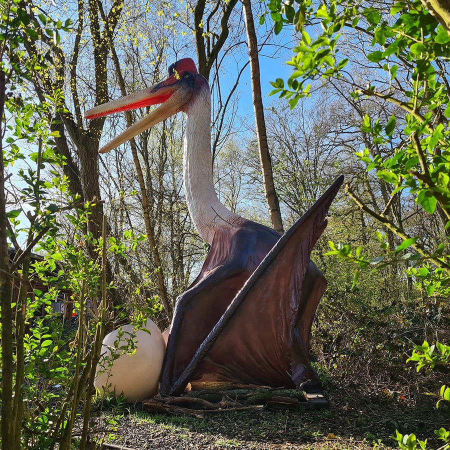 英国 Dinopark 恐龙公园项目实景 14