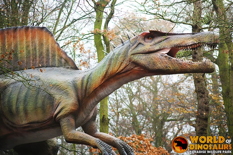 英国 Dinopark 恐龙公园项目实景 15