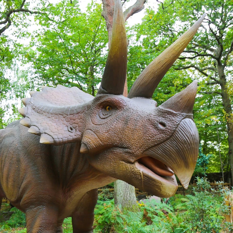 英国 Dinopark 恐龙公园项目实景 17