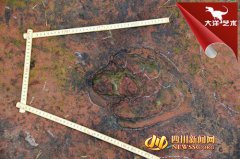 泸州发现亿年前白垩纪时期恐龙足迹