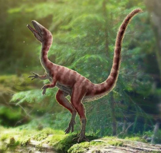 古生物学家在中国发现了真正的迅猛龙