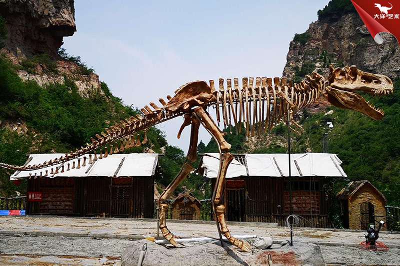 恐龙化石骨架，霸王龙化石骨架