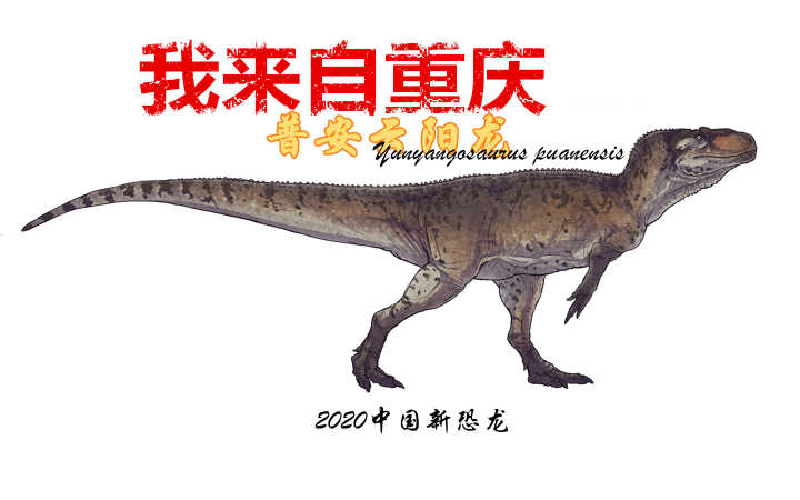 重庆云阳发现比轿车还大的食肉恐龙！